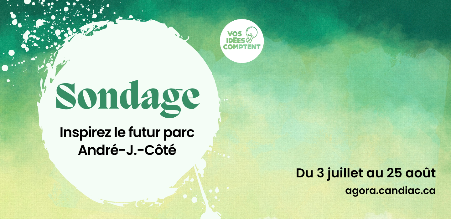 Sondage_AJC_-_Banniere_Agora_(1).png (1.25 MB)